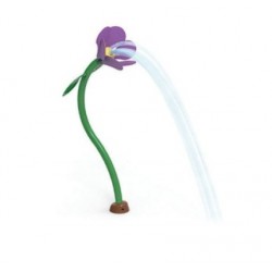 Amapola
